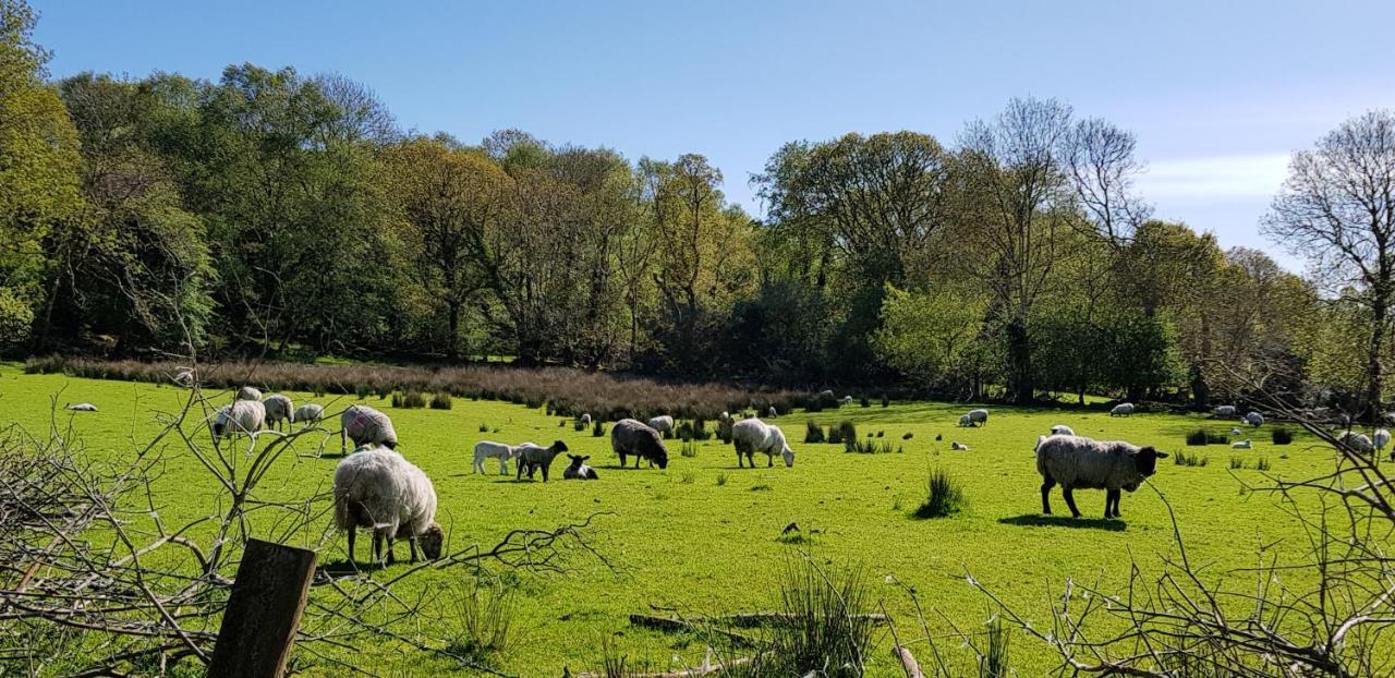 Mountain View Bed & Breakfast, Kenmare, Co. Kerry, Ireland エクステリア 写真