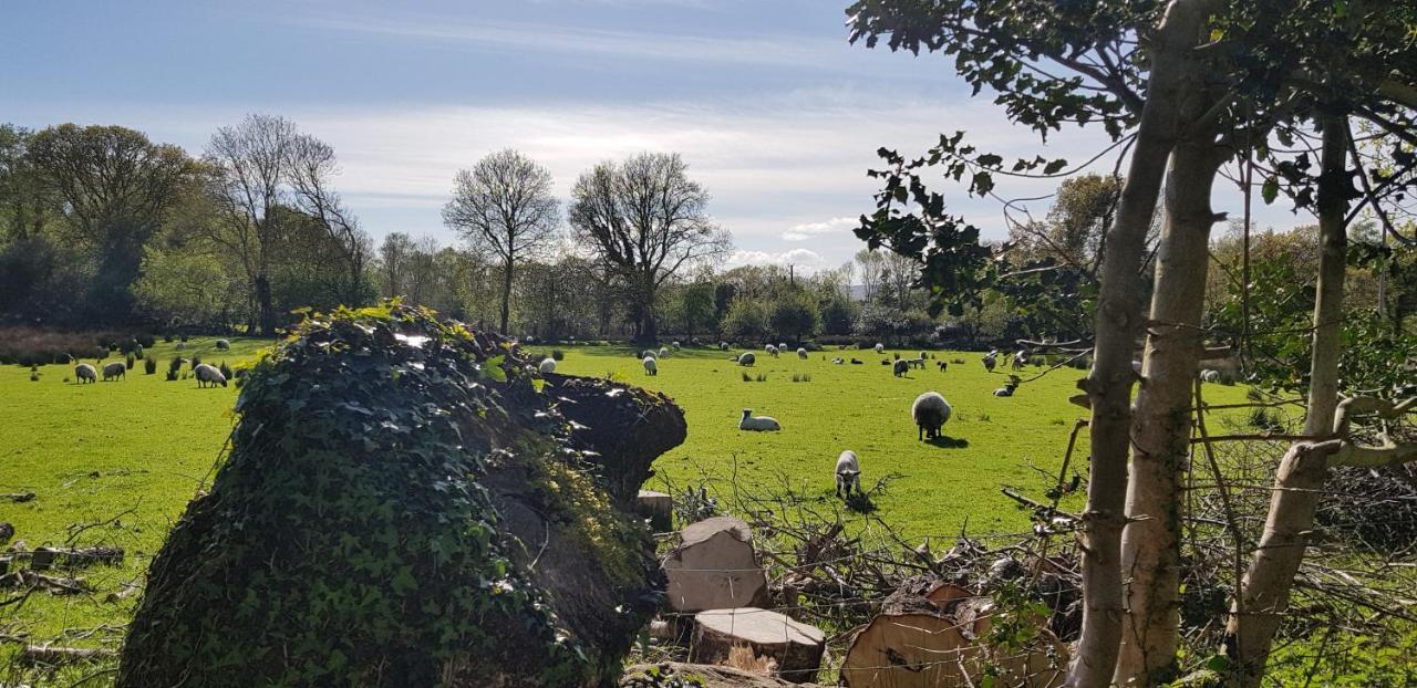 Mountain View Bed & Breakfast, Kenmare, Co. Kerry, Ireland エクステリア 写真