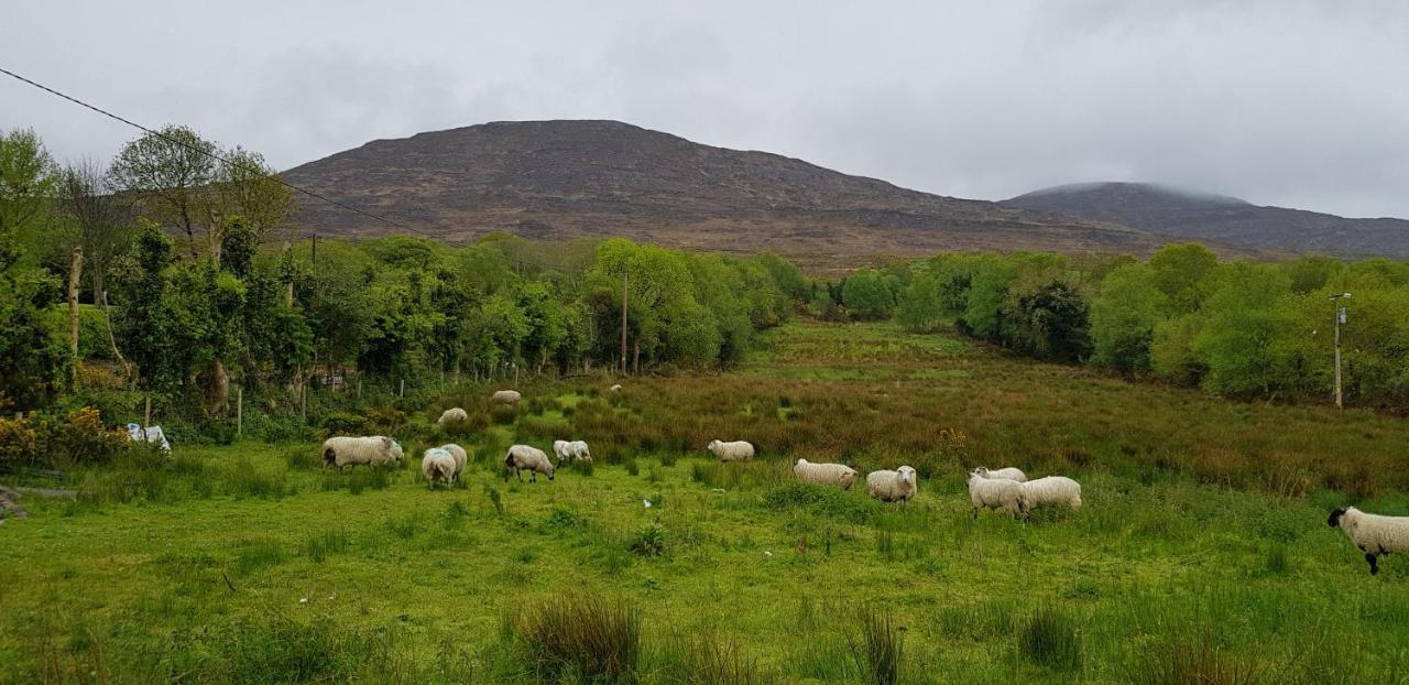 Mountain View Bed & Breakfast, Kenmare, Co. Kerry, Ireland エクステリア 写真